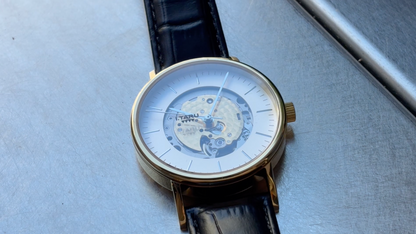 AXIS - gold color stainless case