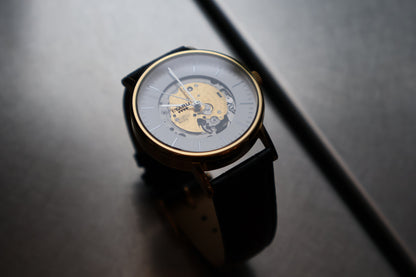 AXIS - gold color stainless case